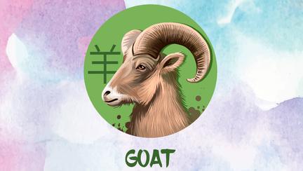 Afla Ce Zodie Esti In Zodiacul Chinezesc In Funcție De Anul Nașterii