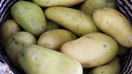 De ce sunt periculoși cartofii înverziți