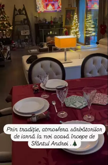 andreea-marin-casa10