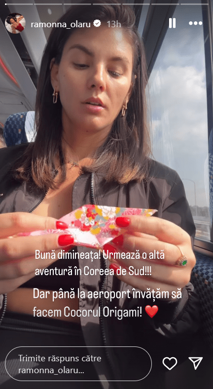Ramona-Olaru-origami