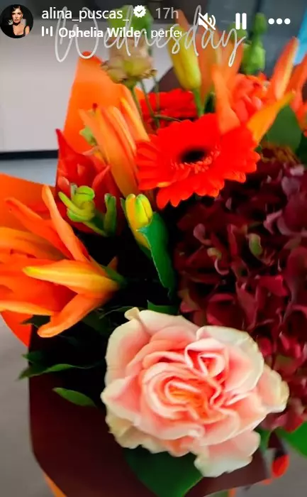 Alina Pușcaș surpriză