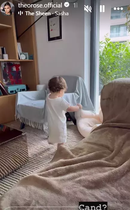 theo-rose