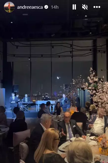 petrecere miahela geoana