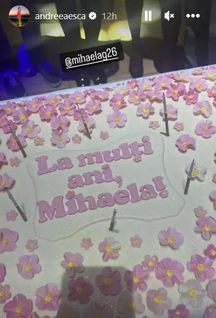 zi de nastere mihaela geoana