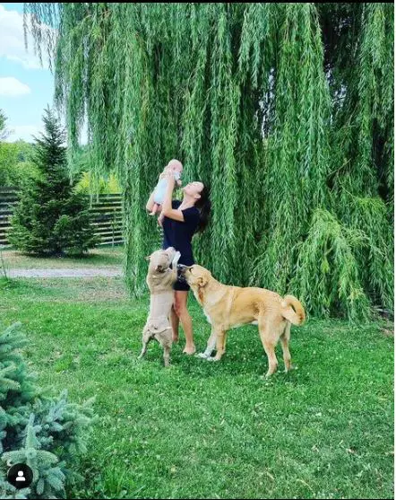 reghe-familie-corina-caciuc-1