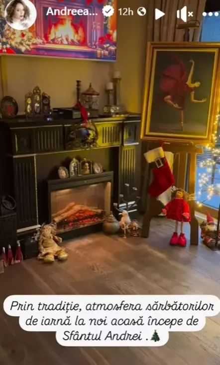 Andreea Marin, casa decorata de Cracin (10)