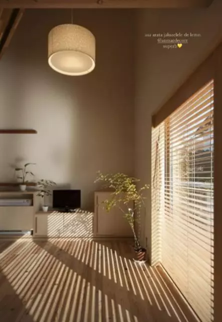9. Apartamentul lui Carmen Grebenișan