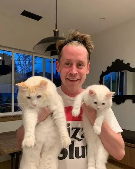 Macaulay Culkin si pisicile