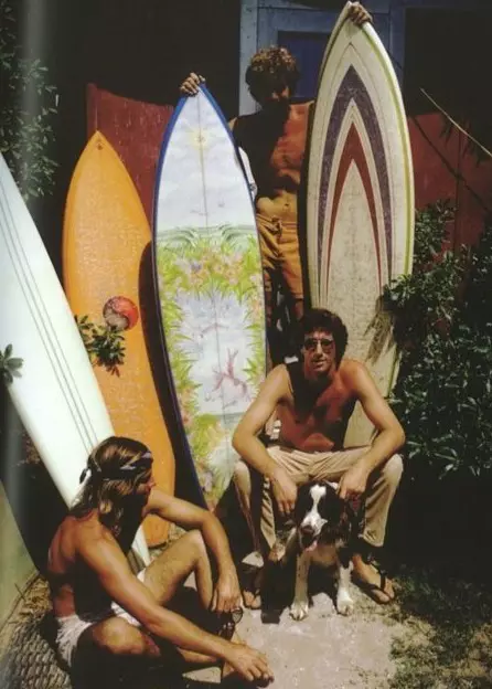 Estetica surf, anii 1960