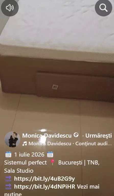 monica-davidescu-casa-inundata