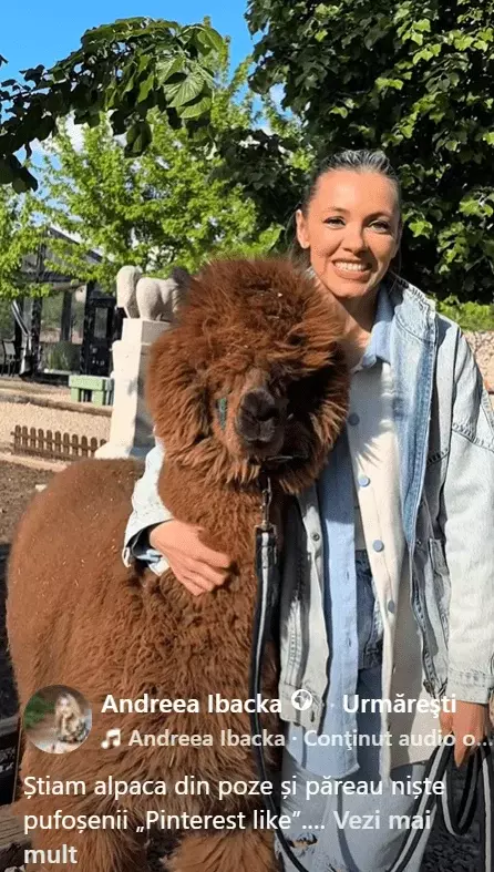 Andreea Ibacka postare4