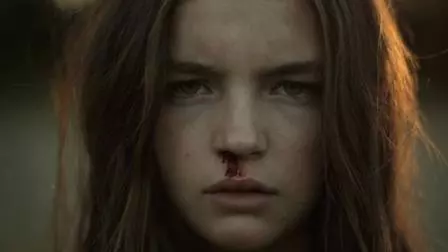 Imagine din YARDBIRD