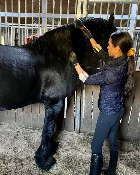 elena-basescu-echitatie-2