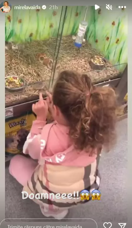 mirela-vaida-are-fobie-de-hamsteri-2