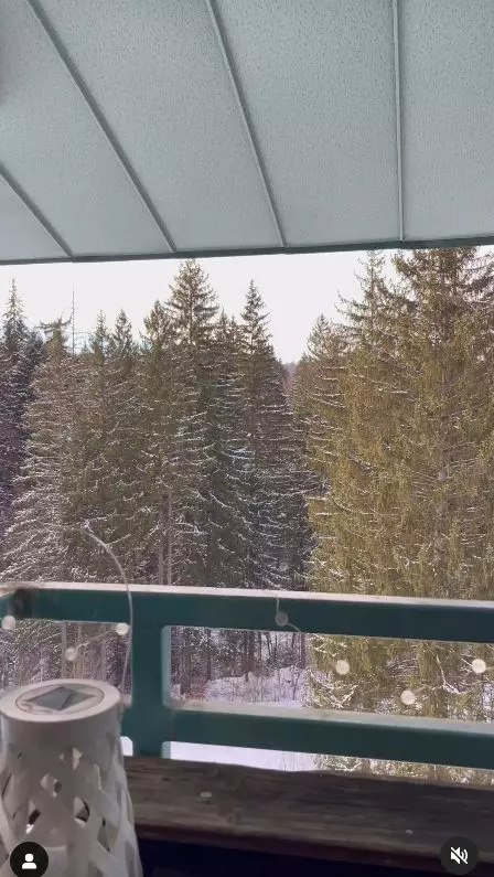 Imagini din casa lui Liviu Vârciu din Poiana Brașov  (4)