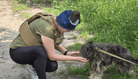 Programe sociale care combat abandonul de animale – o inițiativă ROLDA  