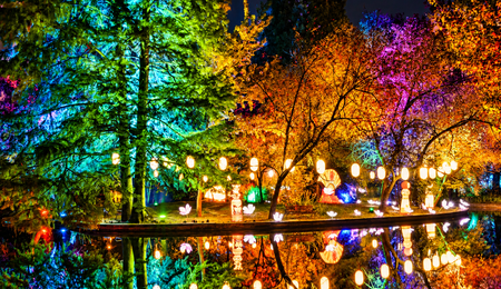 Bucureștiul a pornit în „Ocolul Pământului”: 15.000 de vizitatori în primele trei zile la Lumina Park