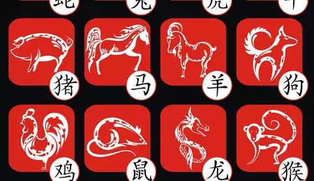 Zodiacul chinezesc 2024: predicții pentru toate semnele