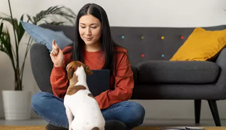 Ce înseamnă să lași pe cineva în grija animalului tău de companie?