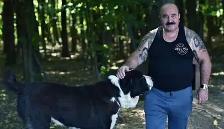 Cum arată vila lui Nuțu Cămătaru, din Ferentari. Imagini cu proprietatea unde cresc canguri, cămile și cai de competiție