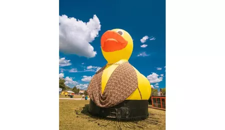 Ținute de festival fără „dacă” și „parcă”. Zalando transformă rața emblematică de la Electric Castle