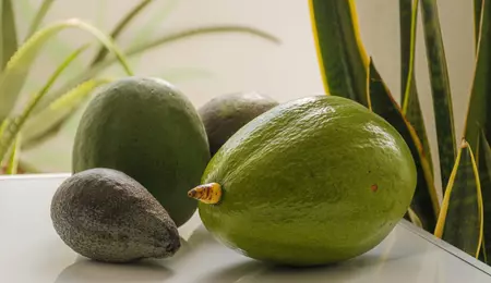 Ce se întâmplă dacă mănânci un avocado pe zi
