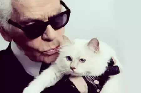 Ce s-a întâmplat cu moștenirea lui Choupette, celebra pisică a lui Karl Lagerfeld. Felina în vârstă de 14 ani, în pragul falimentului la 7 ani de la moartea designerului
