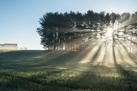 România trece de la temperaturi de 0 la 25 de grade într-o singură zi. Zona în care vântul va atinge 70 km/h