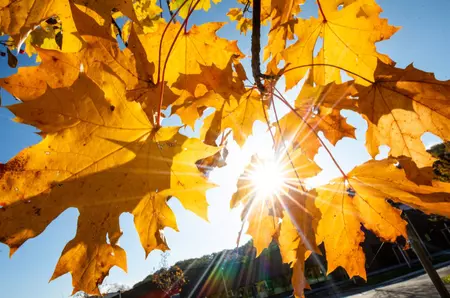 Vremea se încălzește în România, cu temperaturi de 25 de grade Celsius. Prognoza meteo ANM pentru perioada 18-28 octombrie 2026