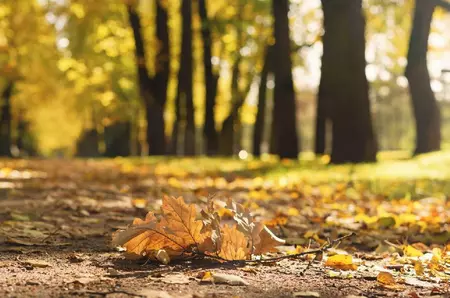 Temperaturi de -5 grade la munte, dimineața și peste 27 grade, în timpul zilei, în vestul țării. Prognoza meteo ANM pentru perioada 4-12 octombrie 2026