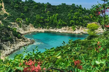Top 7 cele mai frumoase plaje din Grecia, de la nisipul roz din Creta la peisajul selenar din Milos. Recomandările experților pentru vara 2026