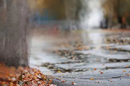 Prognoza meteo pentru octombrie 2026 în România. ANM a anunțat cum va fi vremea în a doua lună de toamnă