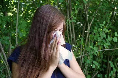 De la o simplă plimbare la „teroare” în fiecare vară: Cum te protejezi de alergia la ambrozie și ce tratament recomandă medicii