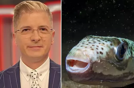 Cum arată mușcătura de pește-iepure, pericolul de pe litoralul grecesc. Prezentatorul TV Marius Niță a publicat o imagine cu rana provocată de această specie / FOTO