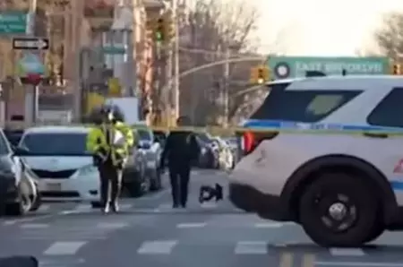 Ultima oră. O vedetă cunoscută, de 33 de ani, a murit călcată de mașină, iar șoferul a fugit de la locul accidentului! Primele informații