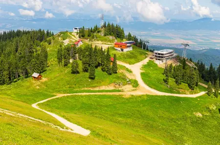 După urși, un nou pericol în stațiunile montane. Specialiștii avertizează asupra riscurilor pentru oameni și animale
