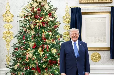 Regina Sprâncenelor, propunere de nerefuzat pentru Trump. Răspunsul pe care l-a primit din partea liderul american