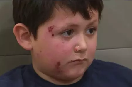 O nouă provocare periculoasă pe TikTok. Aveți grijă la copii și cuptorul cu microunde!