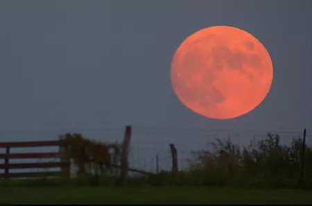 Noiembrie, sub semnul Lunii Pline în Taur. Ce zodii sunt puse la încercare