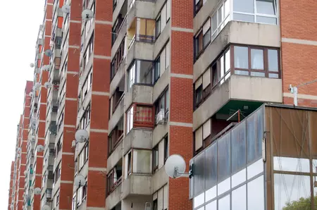 Nimeni nu se aștepta să îl vadă într-un apartament. Acum a devenit atracția cartierului