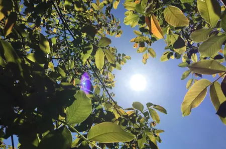 Când vine vara. Prognoza meteo pentru luna iunie
