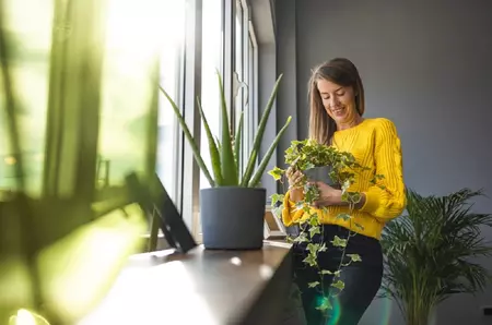 Ce este răcirea pasivă și cum poate reduce temperatura din locuințe fără să folosești aerul condiționat