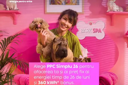 Preț fix la energie pentru afacerile mici, pe o perioadă de 26 de luni