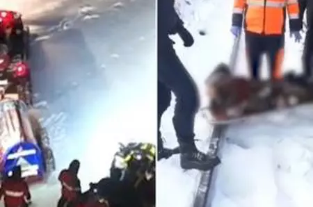 Ger și zăpadă aproape în toată țara: copaci căzuți, drumuri blocate și risc de hipotermie