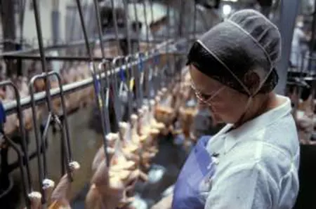 După patru ani, o cunoscută companie olandeză părăsește piața din România