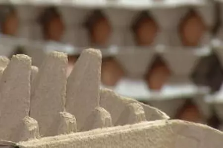 Au dispărut ouăle din magazine sau au preț dublu. Fermierii le trimit la export