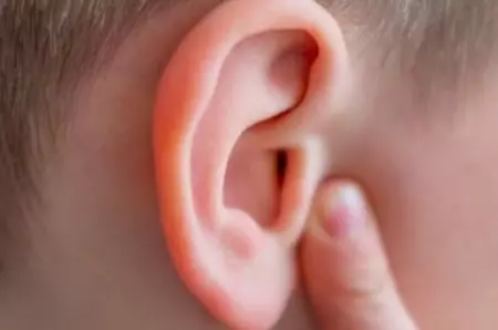 Care parte a corpului uman nu are niciun scop biologic?