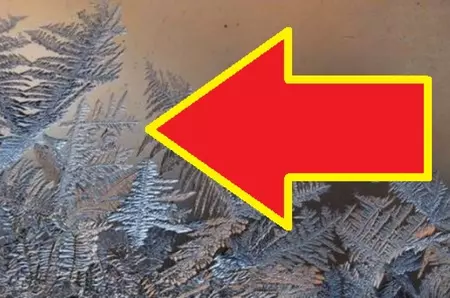 Ce înseamnă când vezi flori de gheață pe geamuri?