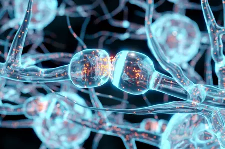 Oamenii de știință au dezvoltat o nouă metodă de a „asculta” limbajul ascuns al creierului