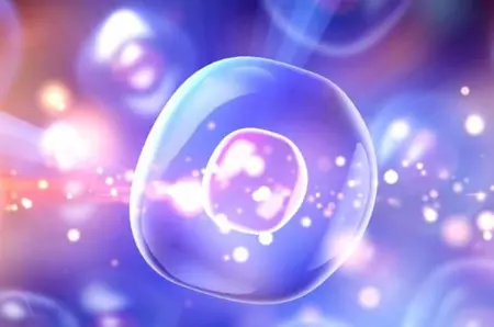 O sursă de energie ascunsă a fost descoperită!